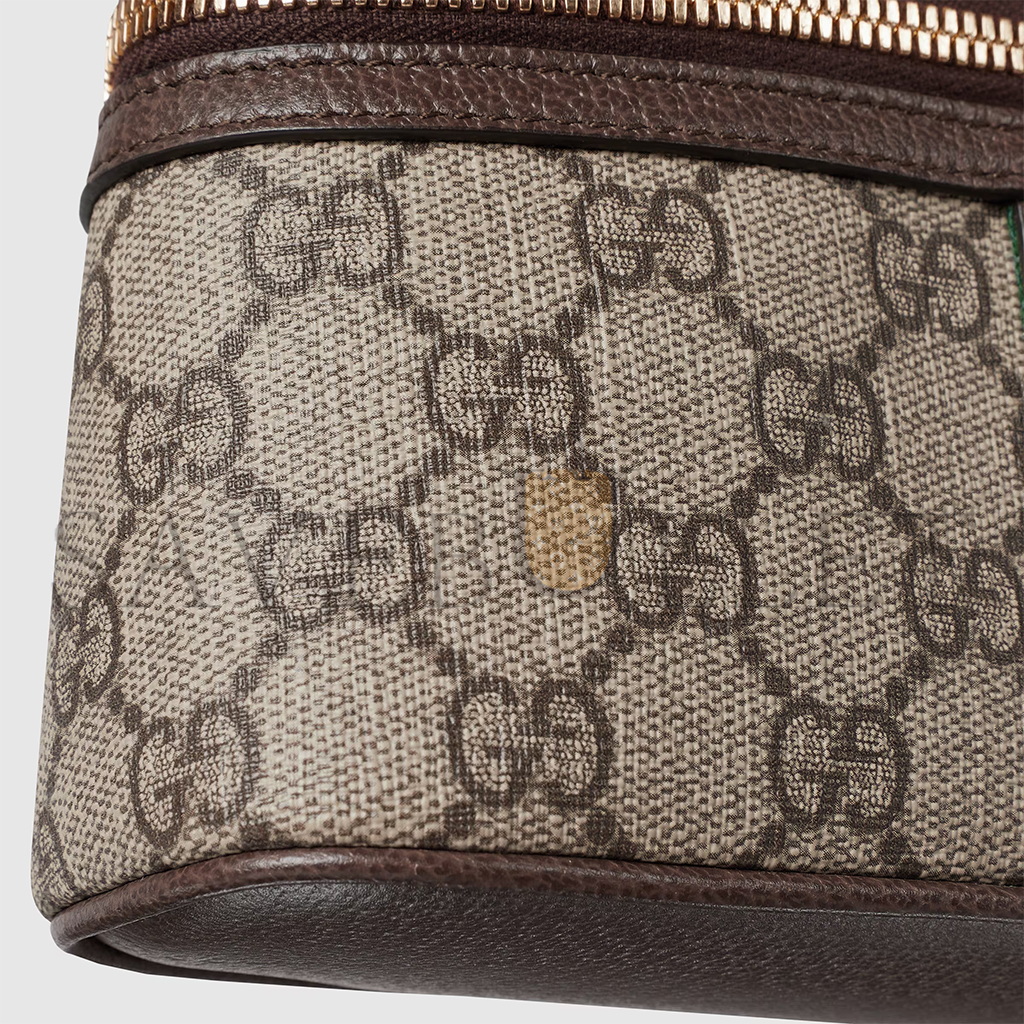 g*u*i ophidia S*per mini shoulder 816357 (20*12*6cm)